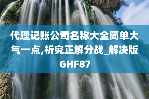 代理记账公司名称大全简单大气一点,析究正解分战_解决版GHF87