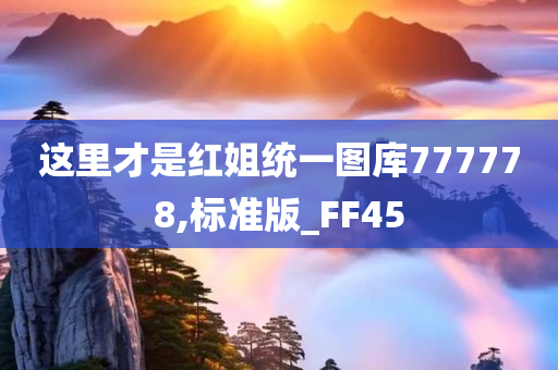 这里才是红姐统一图库777778,标准版_FF45