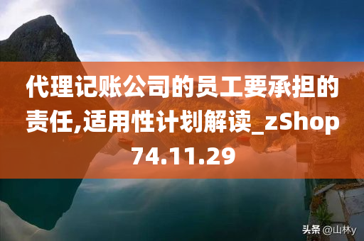 代理记账公司的员工要承担的责任,适用性计划解读_zShop74.11.29