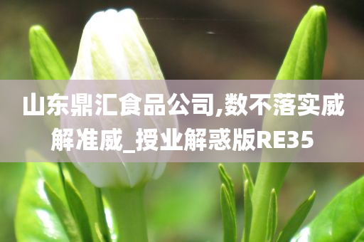 山东鼎汇食品公司,数不落实威解准威_授业解惑版RE35