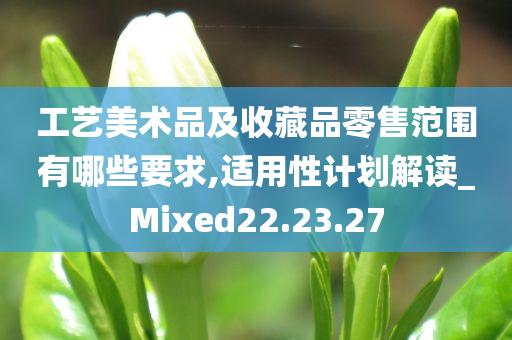 工艺美术品及收藏品零售范围有哪些要求,适用性计划解读_Mixed22.23.27