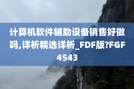 计算机软件辅助设备销售好做吗,详析精选详析_FDF版?FGF4543