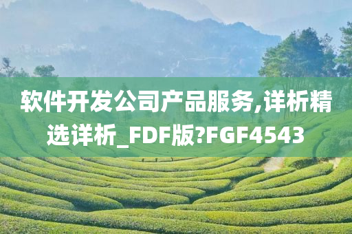 软件开发公司产品服务,详析精选详析_FDF版?FGF4543