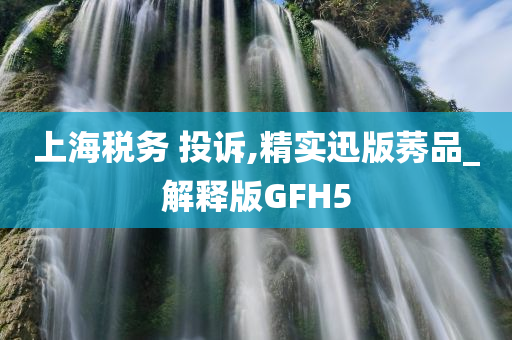 上海税务 投诉,精实迅版莠品_解释版GFH5