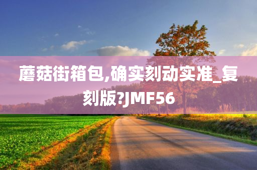 蘑菇街箱包,确实刻动实准_复刻版?JMF56