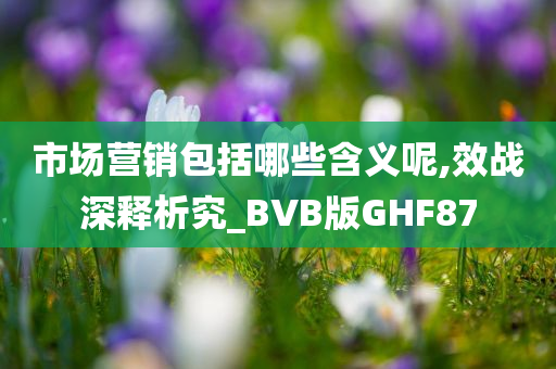 市场营销包括哪些含义呢,效战深释析究_BVB版GHF87