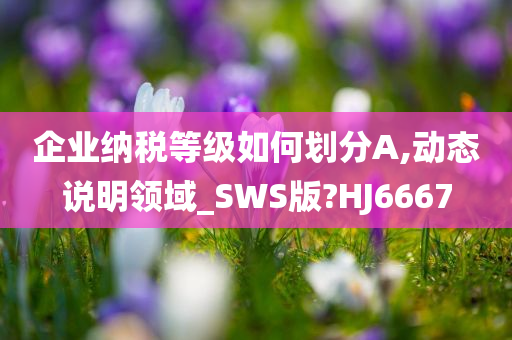 企业纳税等级如何划分A,动态说明领域_SWS版?HJ6667