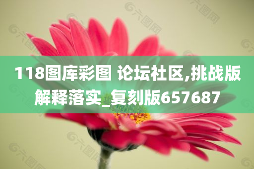 118图库彩图 论坛社区,挑战版解释落实_复刻版657687