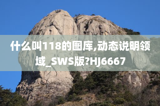 什么叫118的图库,动态说明领域_SWS版?HJ6667