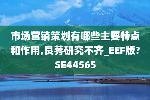 市场营销策划有哪些主要特点和作用,良莠研究不齐_EEF版?SE44565