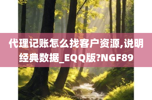 代理记账怎么找客户资源,说明经典数据_EQQ版?NGF89