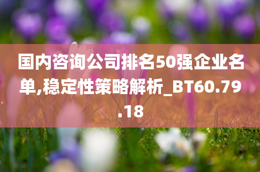 国内咨询公司排名50强企业名单,稳定性策略解析_BT60.79.18