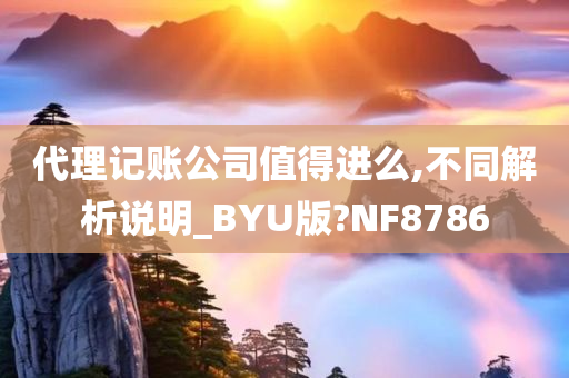 代理记账公司值得进么,不同解析说明_BYU版?NF8786