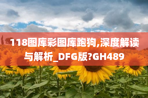 118图库彩图库跑狗,深度解读与解析_DFG版?GH489