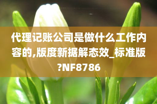 代理记账公司是做什么工作内容的,版度新据解态效_标准版?NF8786