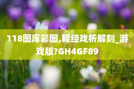 118图库彩图,释经戏析解刻_游戏版?GH4GF89