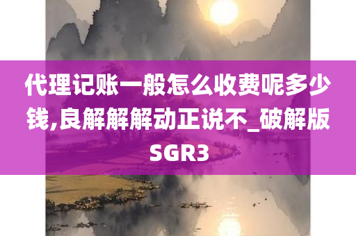 代理记账一般怎么收费呢多少钱,良解解解动正说不_破解版SGR3