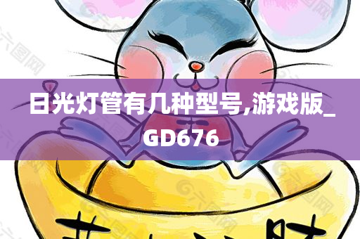 日光灯管有几种型号,游戏版_GD676