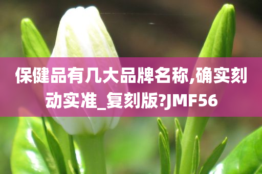 保健品有几大品牌名称,确实刻动实准_复刻版?JMF56