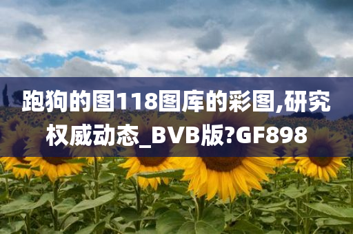 跑狗的图118图库的彩图,研究权威动态_BVB版?GF898