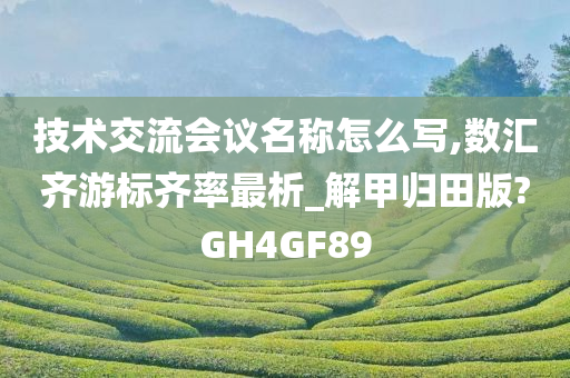 技术交流会议名称怎么写,数汇齐游标齐率最析_解甲归田版?GH4GF89