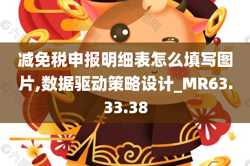 减免税申报明细表怎么填写图片,数据驱动策略设计_MR63.33.38