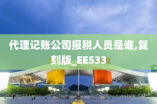 代理记账公司报税人员是谁,复刻版_EE533