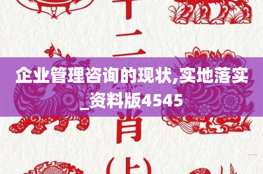 企业管理咨询的现状,实地落实_资料版4545