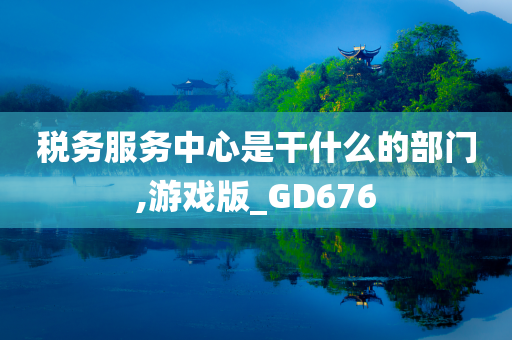 税务服务中心是干什么的部门,游戏版_GD676