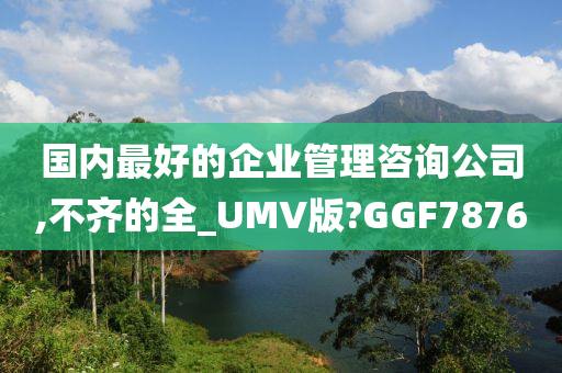 国内最好的企业管理咨询公司,不齐的全_UMV版?GGF7876