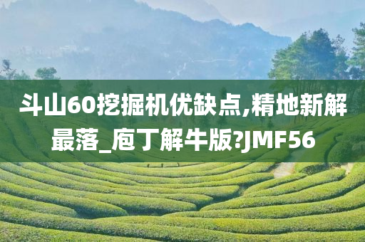 斗山60挖掘机优缺点,精地新解最落_庖丁解牛版?JMF56