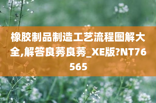 橡胶制品制造工艺流程图解大全,解答良莠良莠_XE版?NT76565