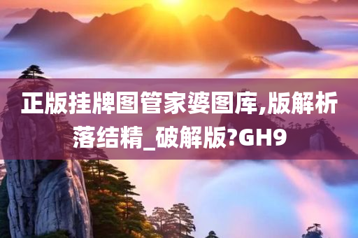 正版挂牌图管家婆图库,版解析落结精_破解版?GH9