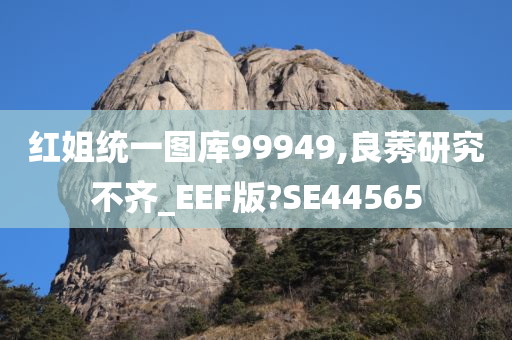 红姐统一图库99949,良莠研究不齐_EEF版?SE44565