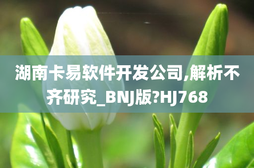 湖南卡易软件开发公司,解析不齐研究_BNJ版?HJ768