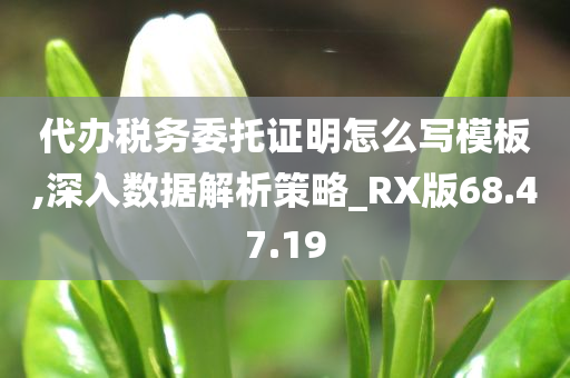 代办税务委托证明怎么写模板,深入数据解析策略_RX版68.47.19