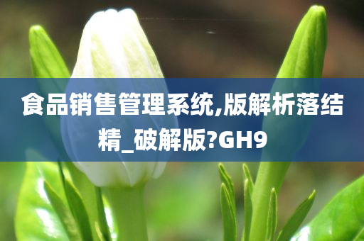 食品销售管理系统,版解析落结精_破解版?GH9