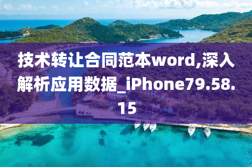 技术转让合同范本word,深入解析应用数据_iPhone79.58.15