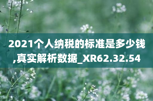 2021个人纳税的标准是多少钱,真实解析数据_XR62.32.54