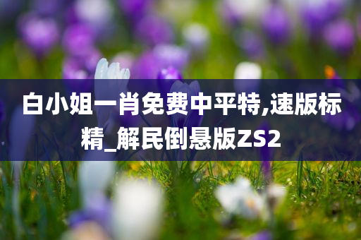 白小姐一肖免费中平特,速版标精_解民倒悬版ZS2