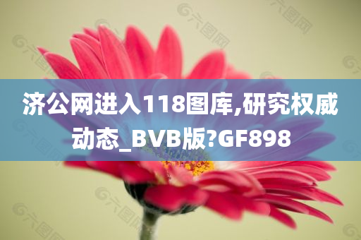 济公网进入118图库,研究权威动态_BVB版?GF898