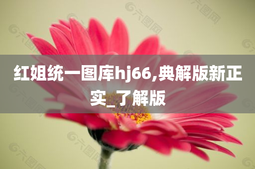 红姐统一图库hj66,典解版新正实_了解版