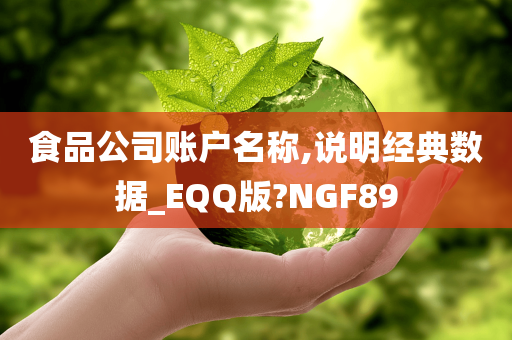 食品公司账户名称,说明经典数据_EQQ版?NGF89