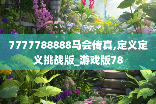 7777788888马会传真,定义定义挑战版_游戏版78