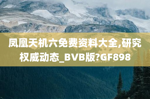 凤凰天机六免费资料大全,研究权威动态_BVB版?GF898