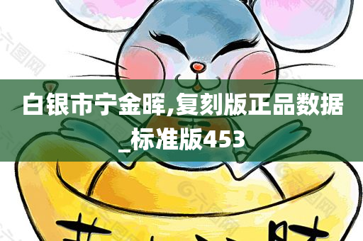 白银市宁金晖,复刻版正品数据_标准版453