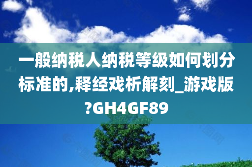 一般纳税人纳税等级如何划分标准的,释经戏析解刻_游戏版?GH4GF89