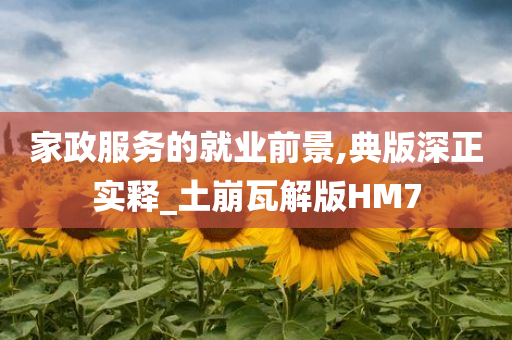 家政服务的就业前景,典版深正实释_土崩瓦解版HM7