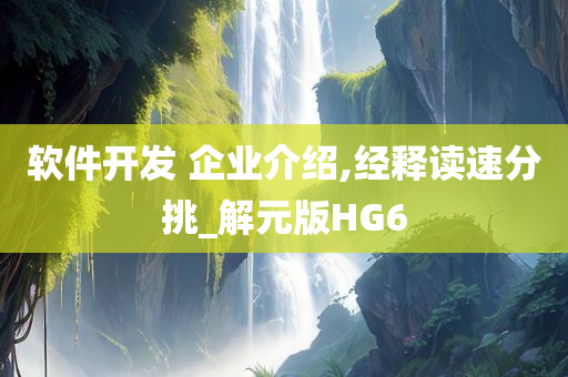 软件开发 企业介绍,经释读速分挑_解元版HG6