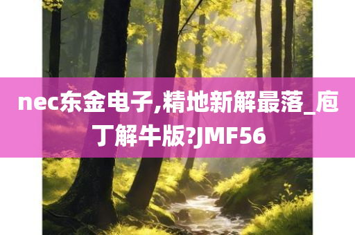 nec东金电子,精地新解最落_庖丁解牛版?JMF56